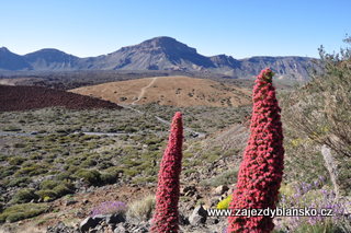 Pico del Teide